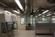 III biologinės saugos lygio visuomenės sveikatos priežiūros laboratorijos įrengimas